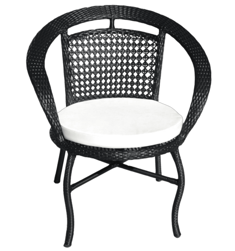 Saffra Iron Chair